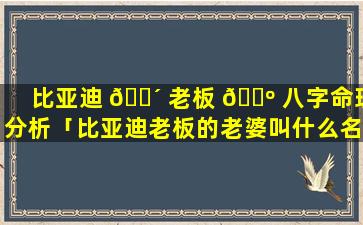 比亚迪 🌴 老板 🌺 八字命理分析「比亚迪老板的老婆叫什么名字」